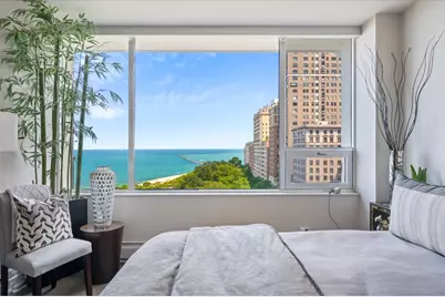 1000 N Lake Shore Plaza #12B, Chicago, IL 60611 - Photo 17