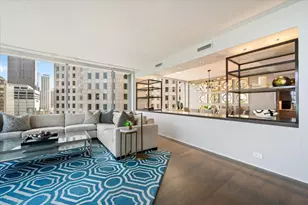 1000 N Lake Shore Plaza, Chicago, IL 60611 - Photo 15