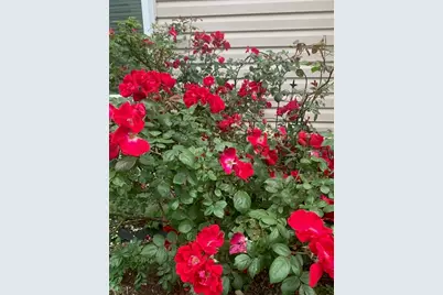 1616 Stanton Lane, Plainfield, IL 60586 - Photo 35