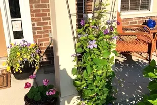 1616 Stanton Ln, Plainfield, IL 60586 - Photo 33