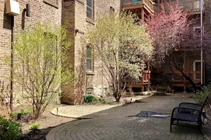 2539 W Iowa St, Chicago, IL 60622 - Photo 19