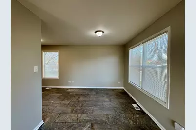 20513 S Acorn Ridge Drive, Frankfort, IL 60423 - Photo 17