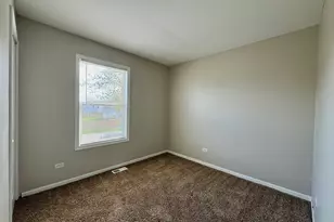 20513 S Acorn Ridge Dr, Frankfort, IL 60423 - Photo 11