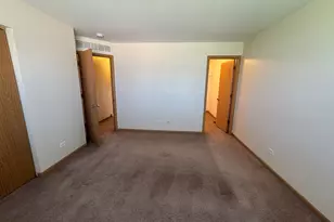 5320 Orchard Trail, Monee, IL 60449 - Photo 19