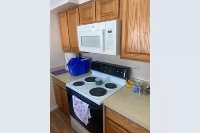 155 S Seymour Avenue, Grayslake, IL 60030 - Photo 19