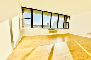 345 E Eastgate Pl, Chicago, IL 60616 - Photo 5