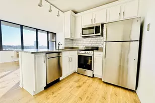 345 E Eastgate Pl, Chicago, IL 60616 - Photo 3