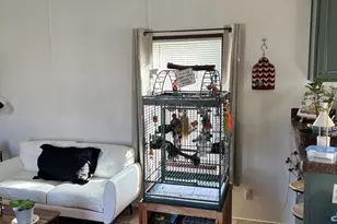 3810 1st St, Park City, IL 60085 - Photo 9