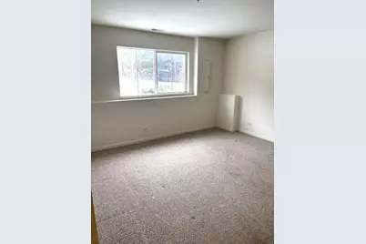 744 June Terrace, Lake Zurich, IL 60047 - Photo 19