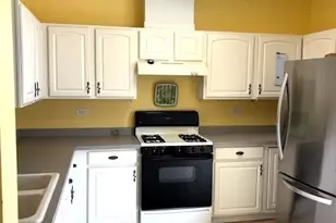 744 June Terrace, Lake Zurich, IL 60047 - Photo 5