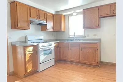 8046 S Pulaski Road, Chicago, IL 60652 - Photo 3