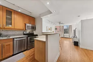 1355 N Sandburg Terrace, Chicago, IL 60610 - Photo 5