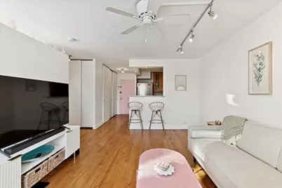 1355 N Sandburg Terrace #203D, Chicago, IL 60610 - Photo 11