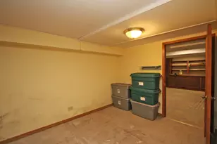 768 Interlaken Dr, Lake Zurich, IL 60047 - Photo 41