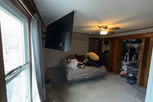 316 W Henry St, Pontiac, IL 61764 - Photo 69