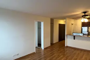 1355 N Sandburg Terrace, Chicago, IL 60610 - Photo 7