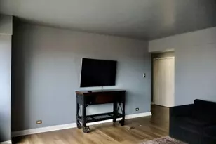 7337 S South Shore Dr, Chicago, IL 60649 - Photo 9