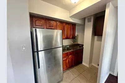 4180 N Marine Drive #1006, Chicago, IL 60613 - Photo 3