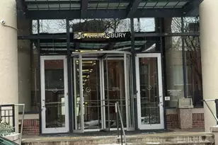 900 N Kingsbury, Chicago, IL 60610 - Photo 3