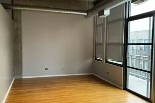 900 N Kingsbury, Chicago, IL 60610 - Photo 9