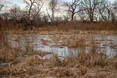 00 N Kishwaukee Road, Stillman Valley, IL 61084 - Photo 15