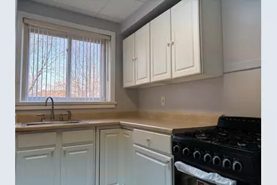 10904 S Avenue D Avenue #3S, Chicago, IL 60617 - Photo 11