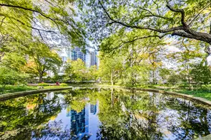 505 N Lake Shore Dr, Chicago, IL 60611 - Photo 49