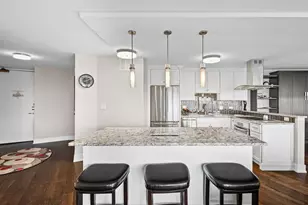 505 N Lake Shore Dr, Chicago, IL 60611 - Photo 13