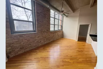 1735 N Paulina Street #212, Chicago, IL 60622 - Photo 3