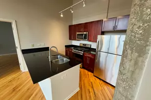 1735 N Paulina St, Chicago, IL 60622 - Photo 7