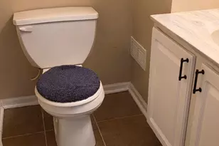 1415 Cottonwood Trail, Yorkville, IL 60560 - Photo 11