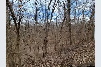 408 E 4th Street, Spring Valley, IL 61362 - Photo 31