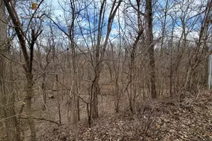 408 E 4th St, Spring Valley, IL 61362 - Photo 31