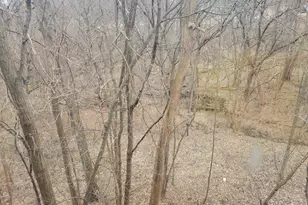 408 E 4th St, Spring Valley, IL 61362 - Photo 25