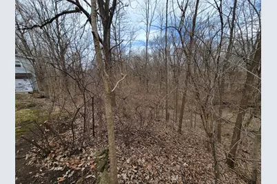 408 E 4th Street, Spring Valley, IL 61362 - Photo 29