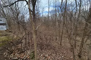 408 E 4th St, Spring Valley, IL 61362 - Photo 29