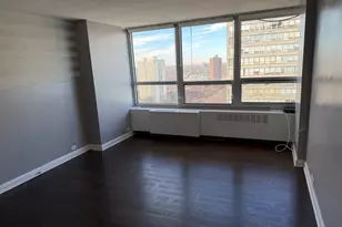 4800 S Chicago Beach Dr, Chicago, IL 60615 - Photo 5