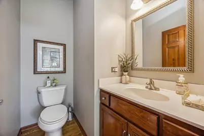 21726 Higley Lane, Frankfort, IL 60423 - Photo 11