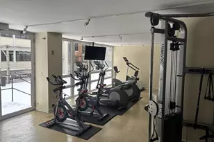 50 E Bellevue Pl, Chicago, IL 60611 - Photo 19