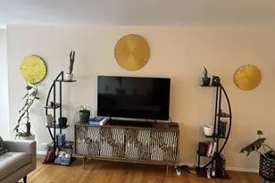 50 E Bellevue Pl, Chicago, IL 60611 - Photo 17