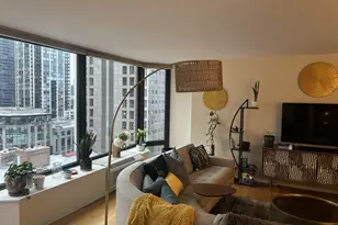 50 E Bellevue Pl, Chicago, IL 60611 - Photo 5