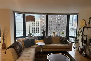 50 E Bellevue Pl, Chicago, IL 60611 - Photo 3