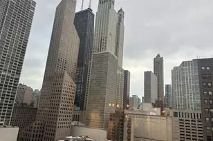 50 E Bellevue Pl, Chicago, IL 60611 - Photo 7