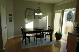 1003 Marion Dr, Shorewood, IL 60404 - Photo 17