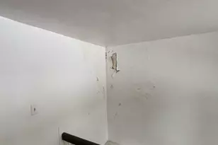 7007 S Ada St, Chicago, IL 60636 - Photo 45