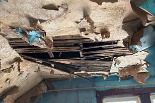 7007 S Ada St, Chicago, IL 60636 - Photo 15