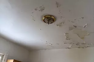 7007 S Ada St, Chicago, IL 60636 - Photo 37