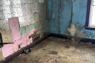 7007 S Ada St, Chicago, IL 60636 - Photo 7