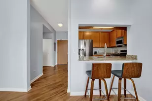 1717 S Prairie Ave, Chicago, IL 60616 - Photo 7