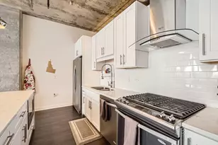 50 E 16th St, Chicago, IL 60616 - Photo 17